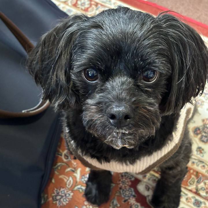 7774afad 4558 4b81 9204 5d89a8c791b8 1729733245763