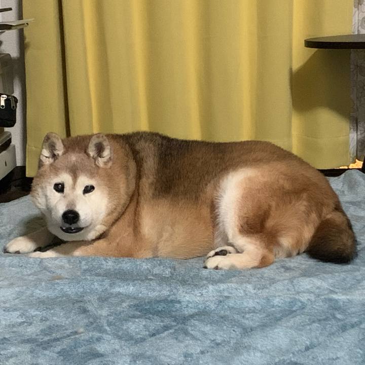 7774c8c0 8f43 42e0 a7f0 81a56a8447b8 1668638831360