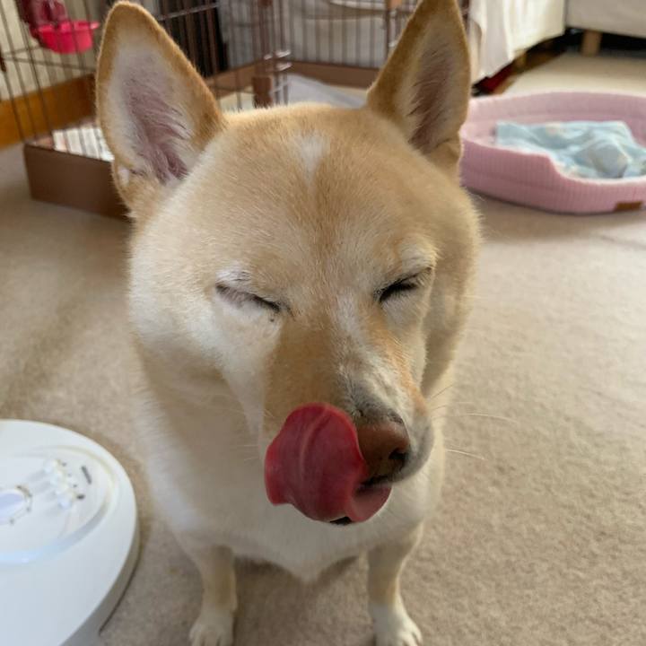 7774ca3e 985d 4db8 8228 daad505968d7 1631483981112