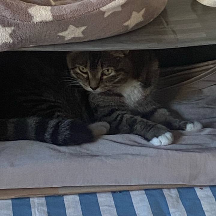 777518d9 9923 4788 ab26 03e0443d24c1 1750147322282