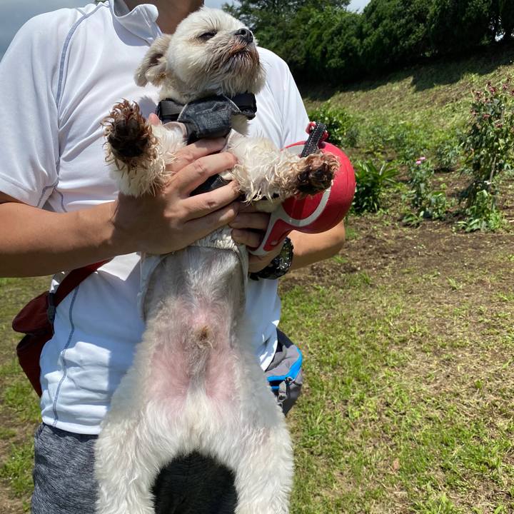 7775c3b3 3a51 4c91 b1f2 70cde8ed9626 1595145642423