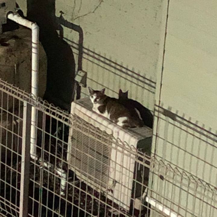 7775ca3f 820b 432d b6aa c3ddb604baee 1599977389386