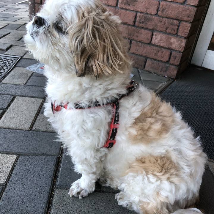 7775d59b e20b 4f0d b56a 14b2e887e6f2 1619214530967