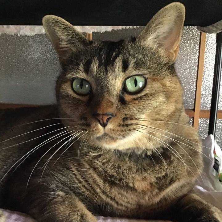 7775dc4b 36fe 470f bc0a 4ce5358ccec8 1757495089725