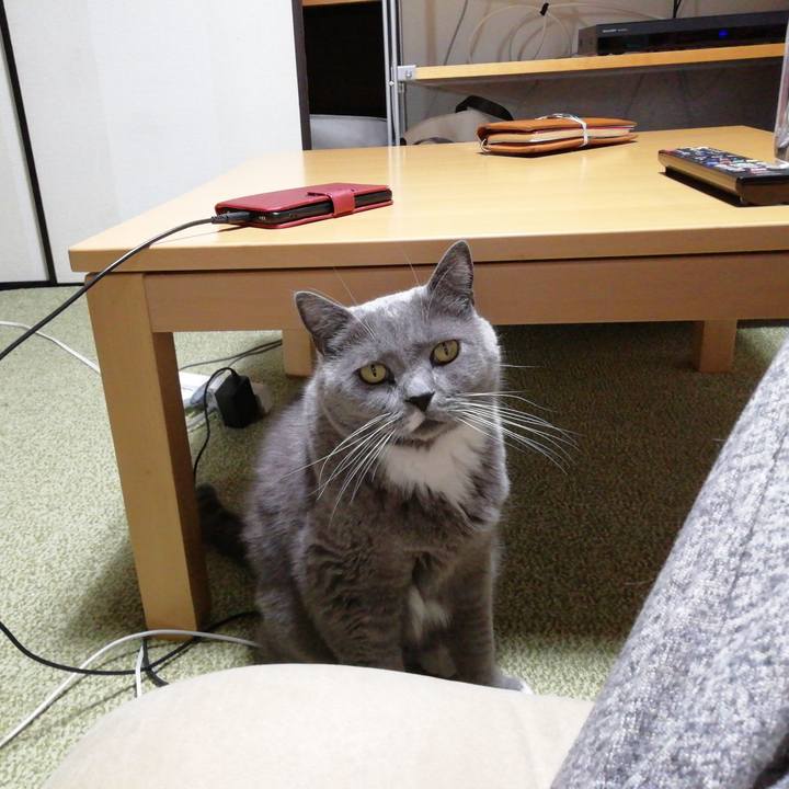 77760521 a757 4c6e 812b 94b992acbb66 1735984659240