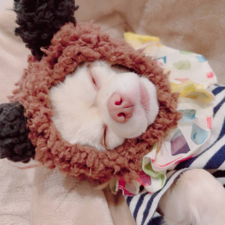 777624e7 d3fa 4975 b2af 61a5bed49362 1701428169540