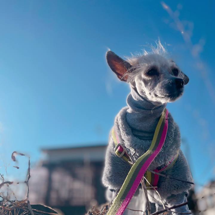 7776267c fdb1 4e60 aacb e7fd36c38f17 1766799430174