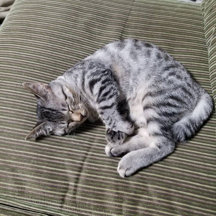 77762e5e 025a 44fa a4a6 12e0fea98cf1 1668481443630