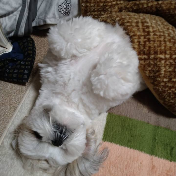 77763466 7796 43e6 a3a2 24abe253ba8f 1645329328671