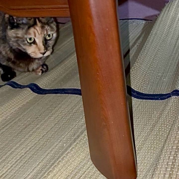 777652b6 9e38 449a 9dc7 a59e35d0fa58 1746996329891