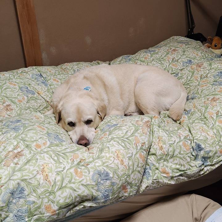 77768cea ea4a 4b7f 801d 78b6eed6e718 1756521286793