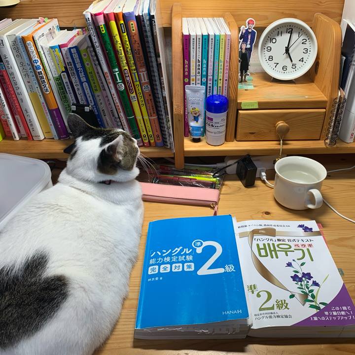 7776a12f 8628 4073 8de9 e104b1fa50ee 1636145408322