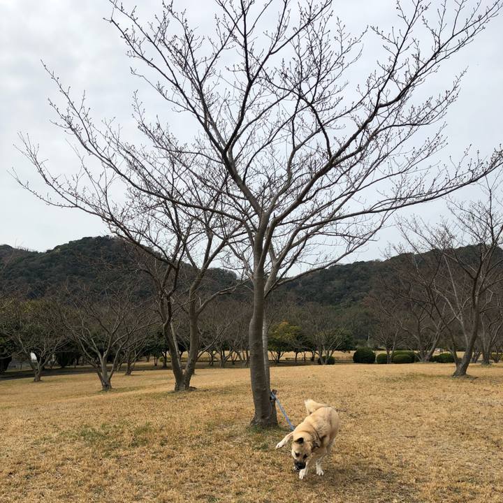 7776bb92 4de4 4984 a3d2 208206d4e0c9 1521352853198