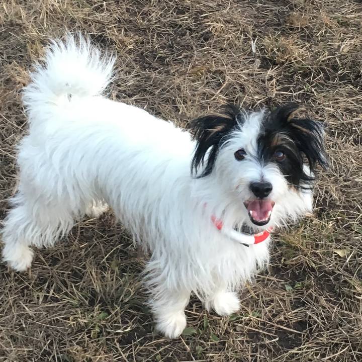 7776d787 aeb2 4191 b91c 10d5363fe4ca 1515449494175