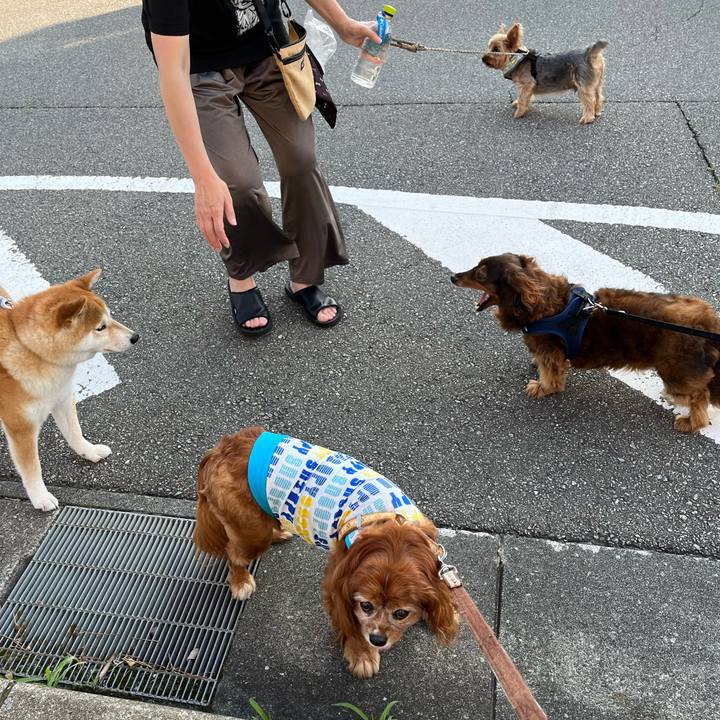 7776ff02 db3e 4eb8 a4ff acd26f4b5ef4 1751072593931