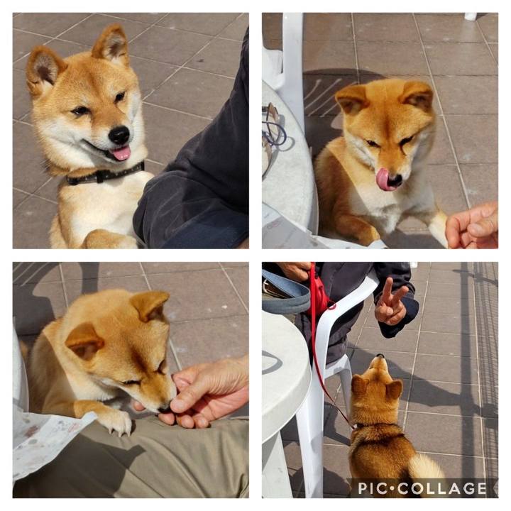 77770123 50f9 40df b612 554e719dab7f 1648260254095