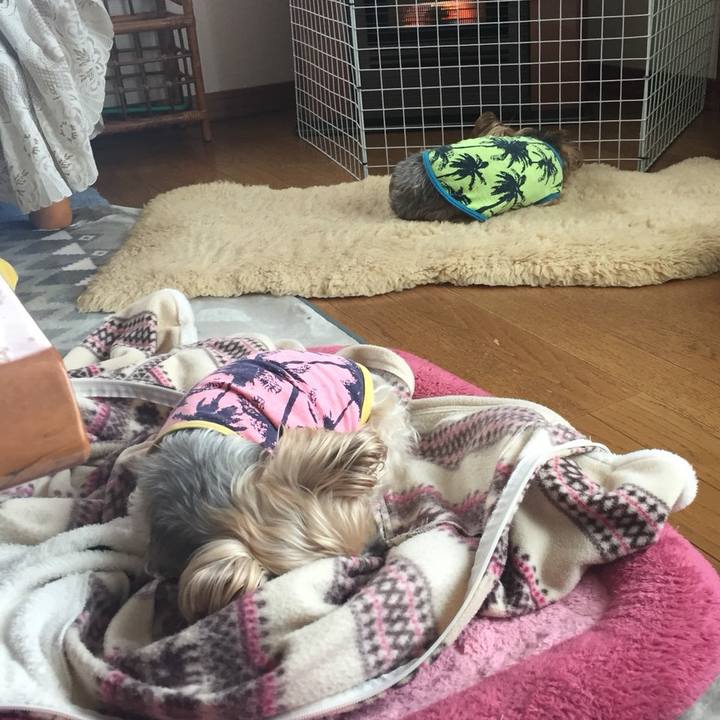 77772644 69cb 44c4 bd89 0e81723bb0eb 1549327907228