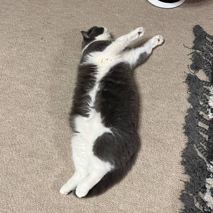 77774b74 7a73 40a4 bd85 ec1d4fcbef7e 1645418789329