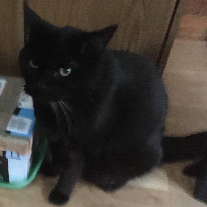 7777573c 3630 49cf 9a06 cbd5c871a081 1632789008774