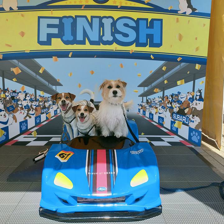 77776443 c6f0 4859 b4f8 5cc0e1dbbe1e 1774083180551