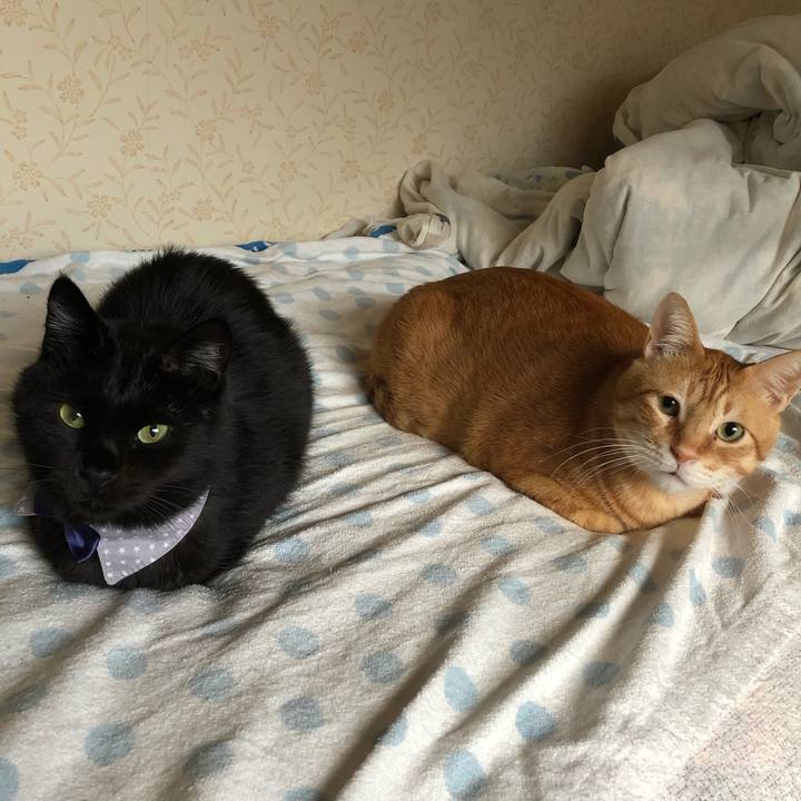 77777de1 5e03 466e a438 4c32f16273f3 1573250879709