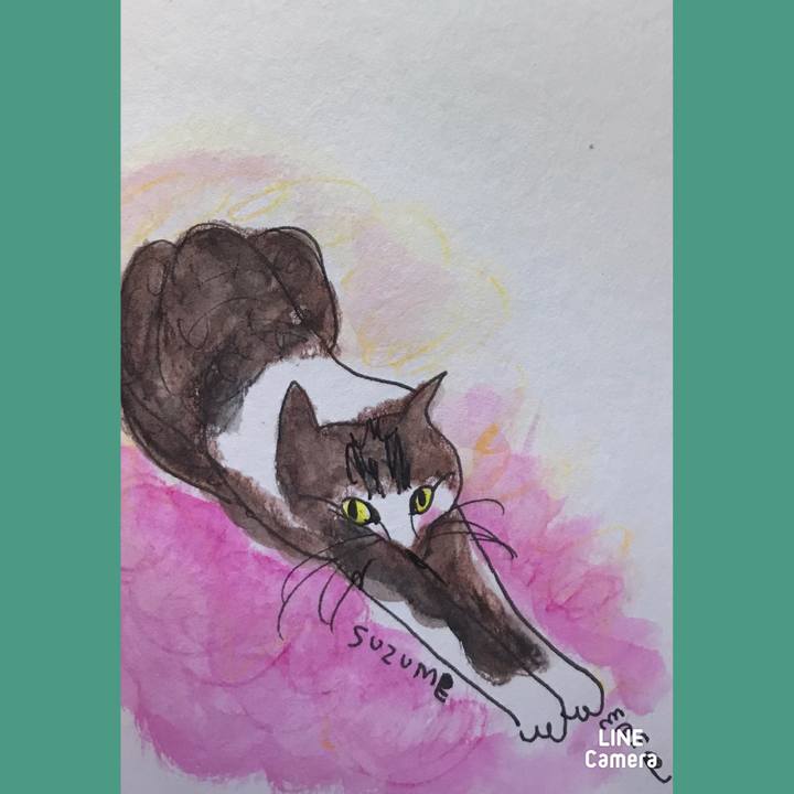 7777abac 4853 494a a4d7 252fc144bb54 1609421458150