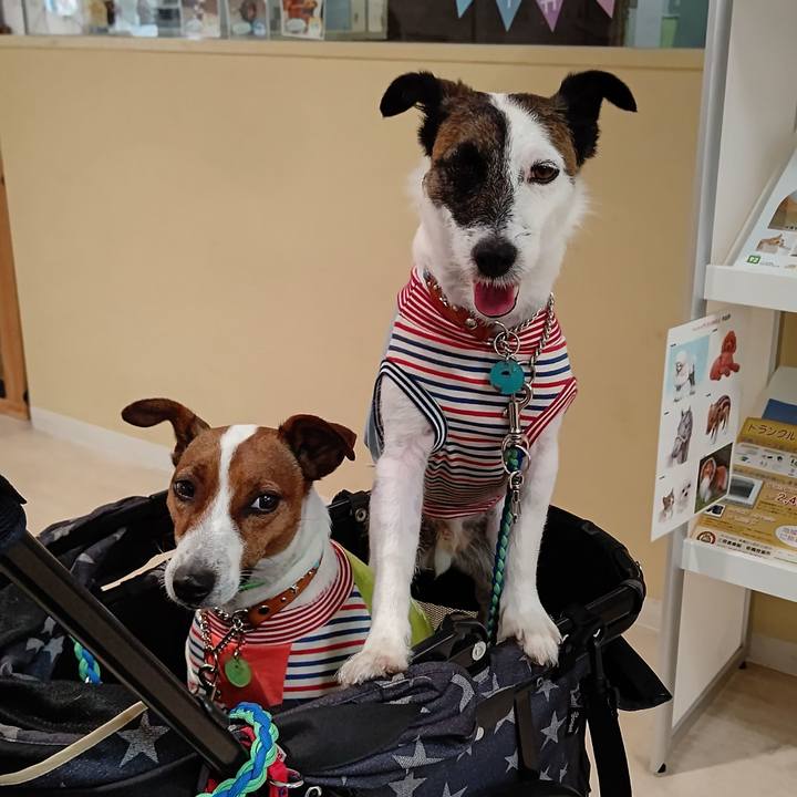 7777ad29 ce4c 44ef 8c0d 0e6e53f50de6 1624326901642