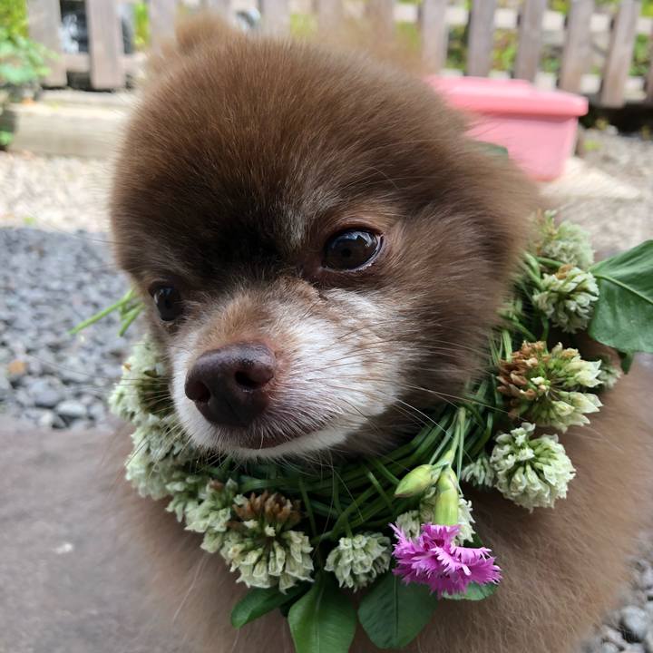 7777b9f2 4392 4ae7 a452 f13fd0995c59 1592871016977