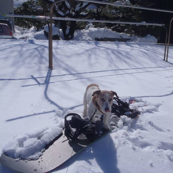 7777c3d1 bfc1 4e3b 9483 11d0f587e381 1518592185067