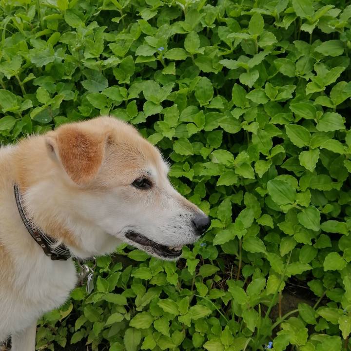 7777c616 9f1b 4352 8ba8 6cd79c9a1a2c 1625046831869