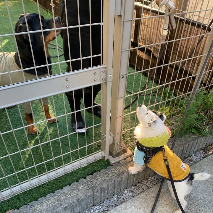 7777fe36 b696 40ad 901f 786c2733d1b9 1734826179630