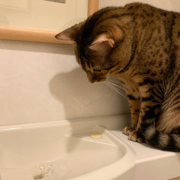 7778327b 96a5 4aea ae1d 8216826c5ddb 1578952233051