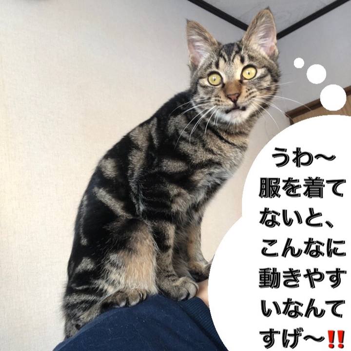 7778382e 9c35 4569 919a 8d02adb1d9ee 1735520649233