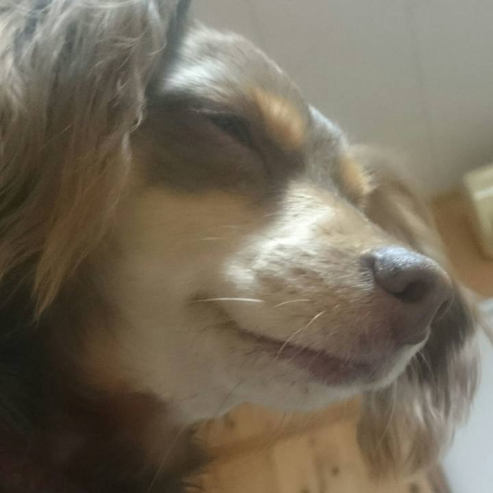 77783a4d 4833 4636 bde7 49575ea313d7 1521281184837