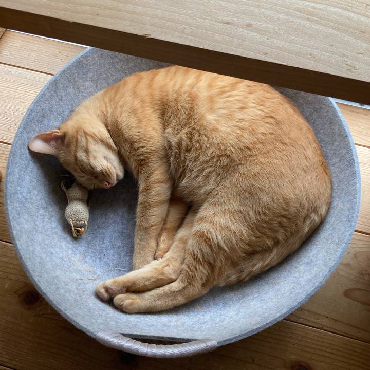 7778486a fc2d 450c 82ec d29cf5a93a9f 1659846505010