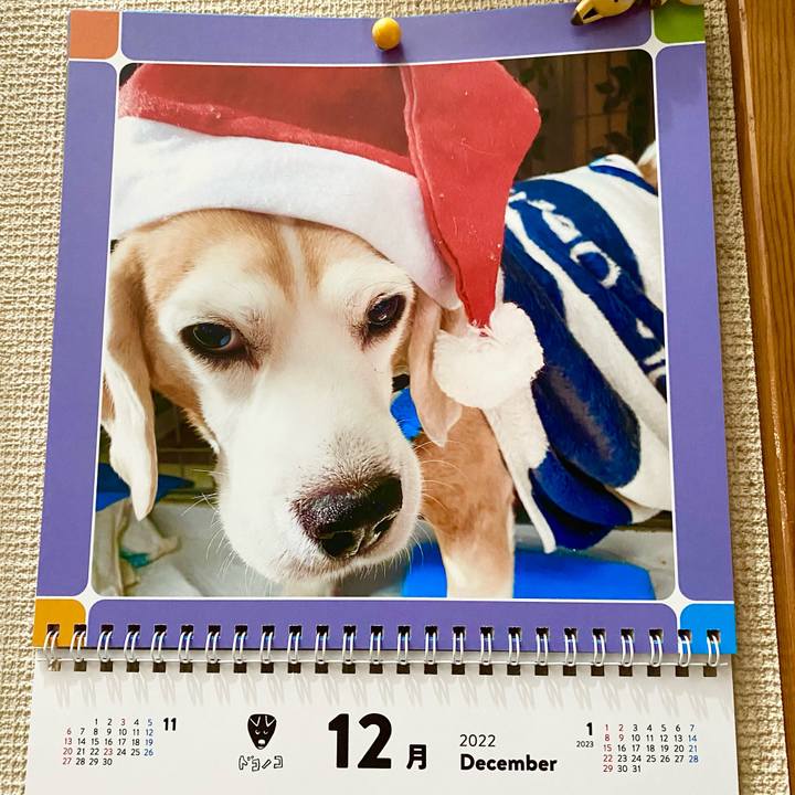 777852dd f945 4cb0 898c 34356587bebe 1671939247300