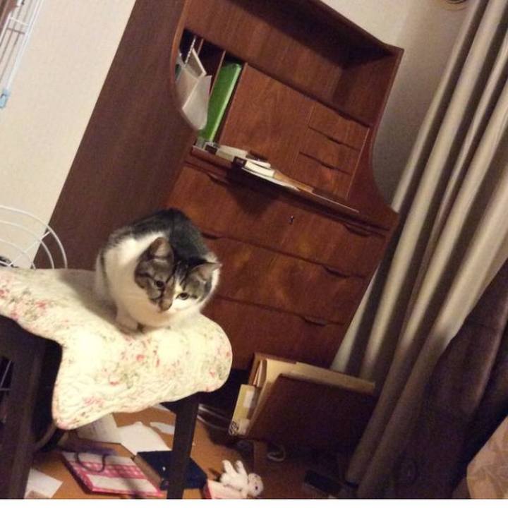 77786190 d0c8 41aa 864c 3c7480fa28ad 1765755599283