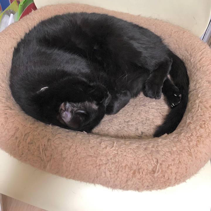 7778b70c 10e1 4092 995a a24de528c0ad 1605786235104