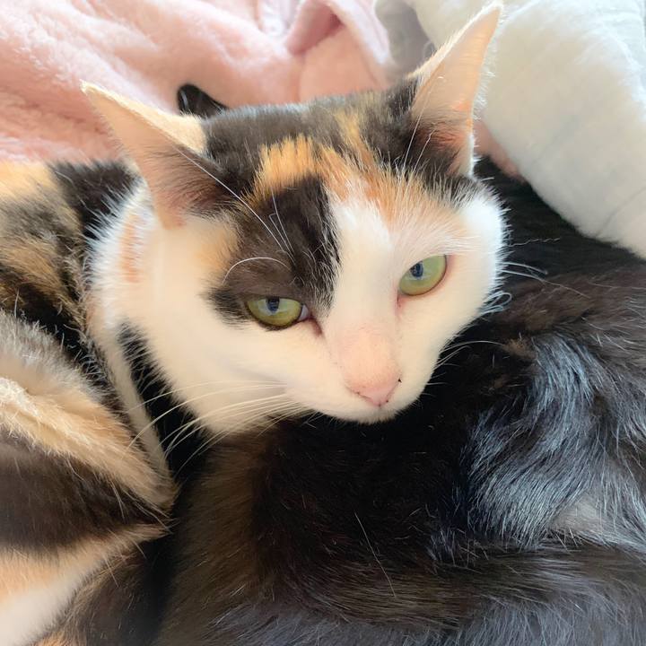 7778c9a6 a0dc 4e27 8b96 518ab9cb755e 1560649966552