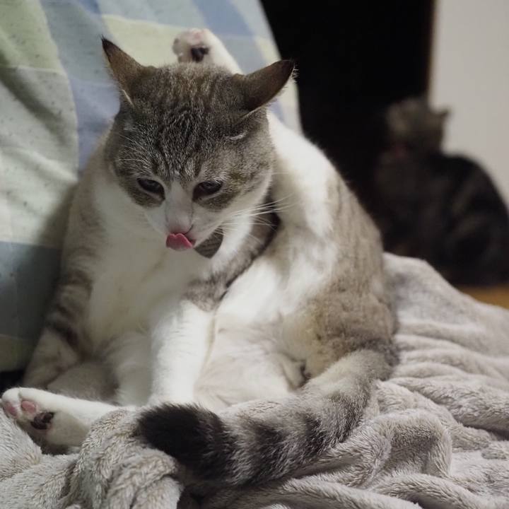 7778dade 276f 4a9f b0d8 5980d0a9aeda 1620825173207