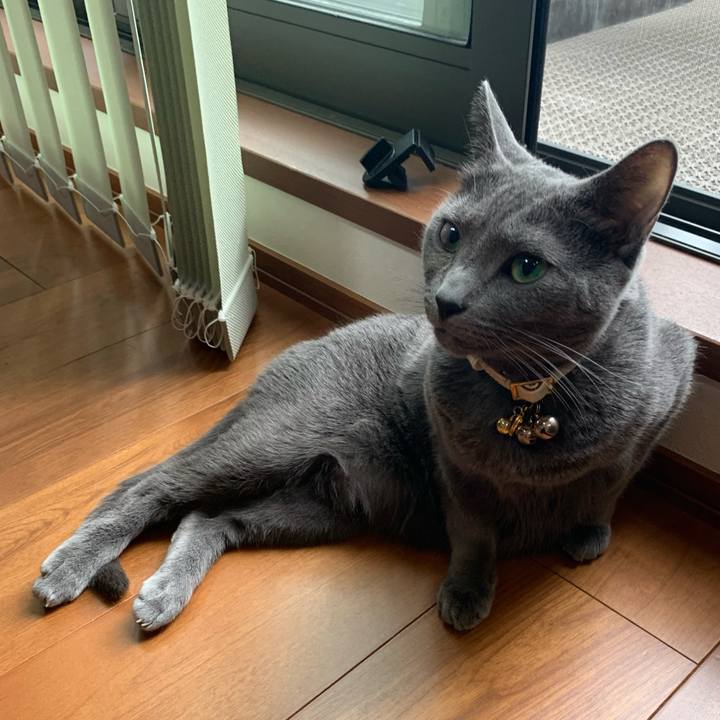 7778fb16 cad3 4fc0 9198 893ff5498ce2 1654426030739