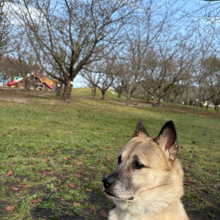 777906ea 63cd 4840 8889 3ff74c60e73d 1762079001134