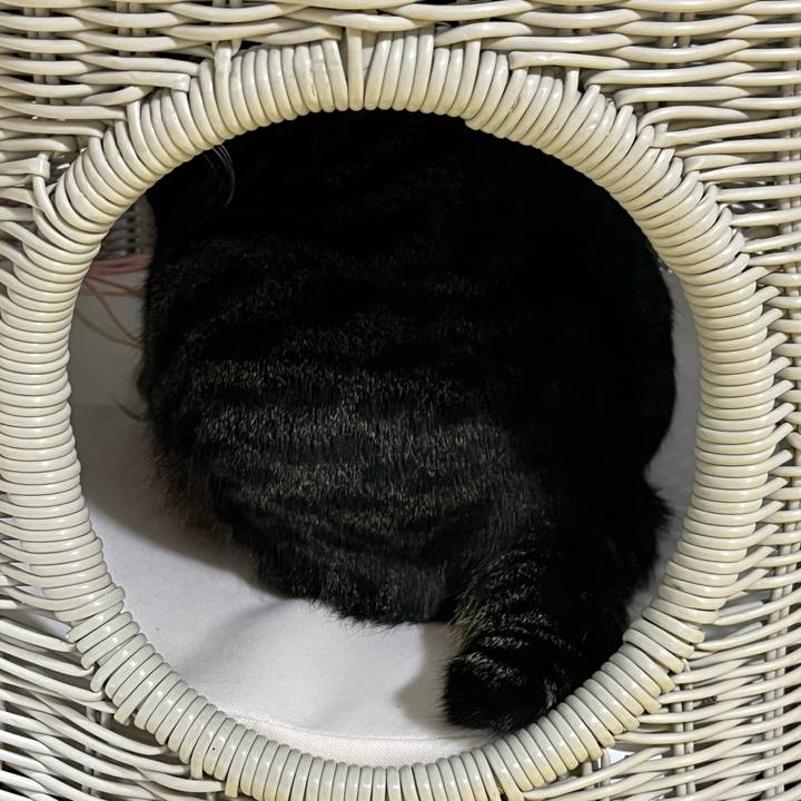 77791701 440a 4ef4 bb8d d94fb0b0a884 1769038157269