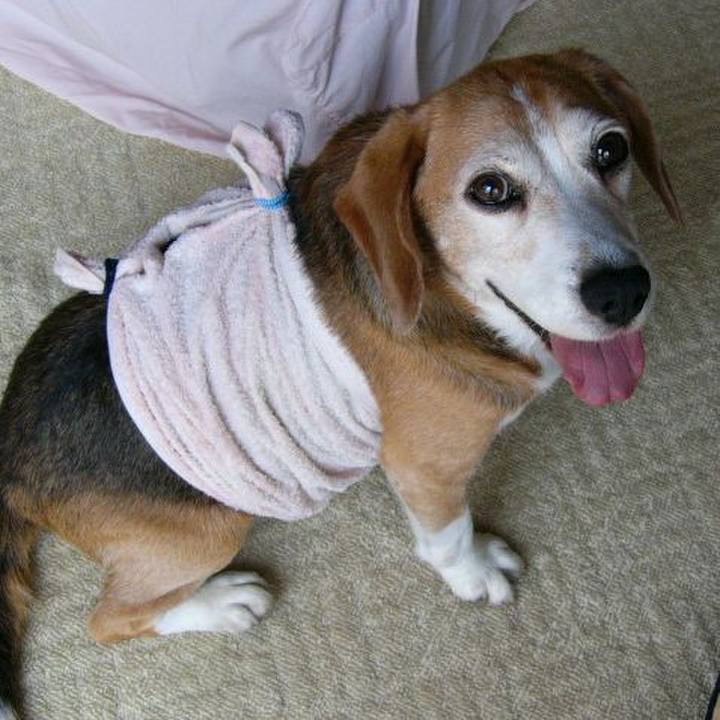 77793526 c116 46ec b96a 1b8b15a4334c 1639443501481