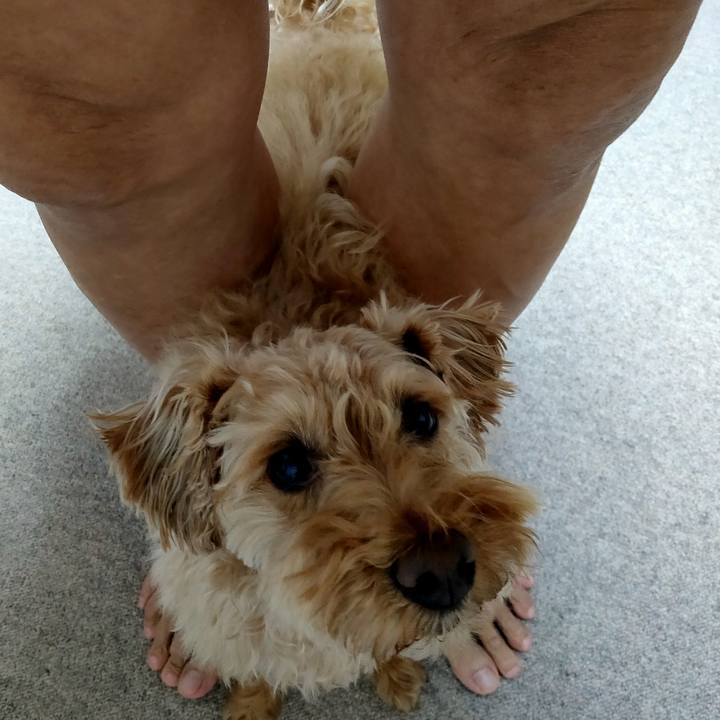 777945b4 1b61 4575 93a4 0161e1d3981c 1588729782703