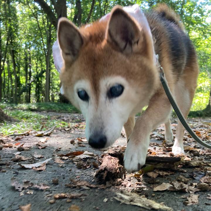 77795e8f ec9f 4799 9e76 d8d4944ac93e 1757216105157