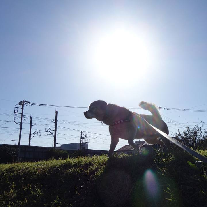 77796fb3 7d57 4dad 9e41 72cae40f19d1 1540089853191