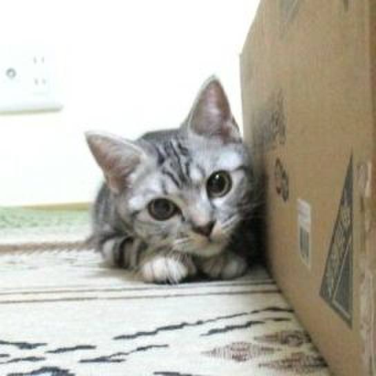 7779a4ce 6e18 4f80 ad21 9f6a2f79abec 1538483291473