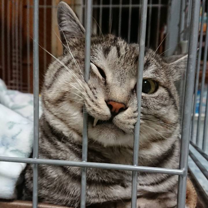 7779c1b9 c964 43dc 9ddc 3b239bb2c9c0 1511522393323