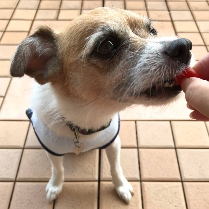 7779e971 0a23 4a53 b68c be148d354fc9 1566601207345